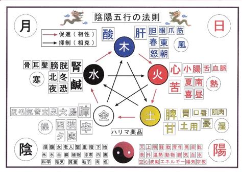 五行特質|五行人的性格和体质特点, 五行各属性的人物性格